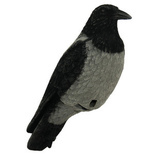 Live Crow Fullbody -variksen kuva
