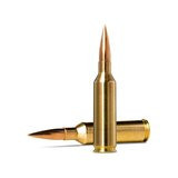 Norma 6,5 PRC Golden Target Match