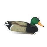 Stepland heinäsorsa uros 12kpl