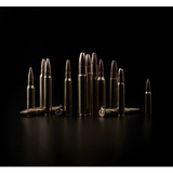 Sako 308 Win 10,9 g TRG 141A