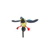 Stepland Rotor heinäsorsa uros