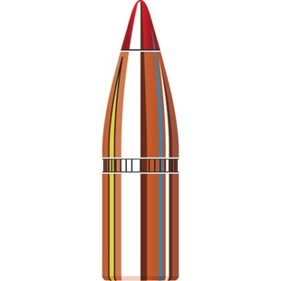 Hornady .22 55 gr V-MAX 22272